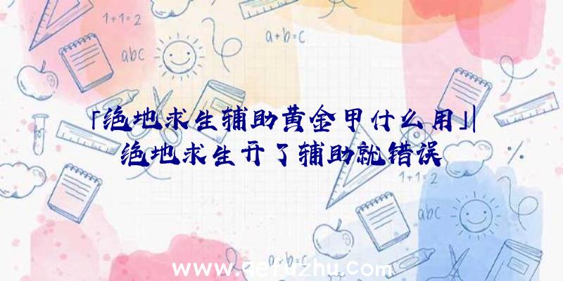 「绝地求生辅助黄金甲什么用」|绝地求生开了辅助就错误